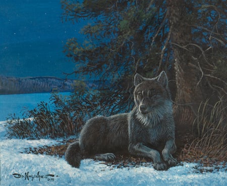 Resting Wolf