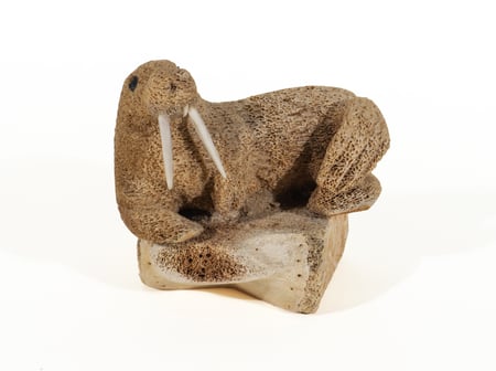 Untitled (Walrus)
