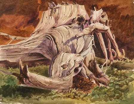 Untitled (Driftwood)