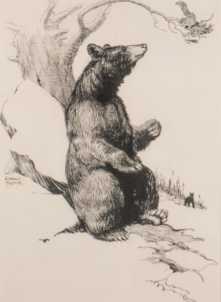 Black Bear and Squirrel
