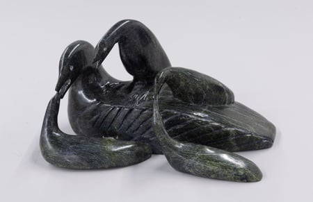 Loon Family