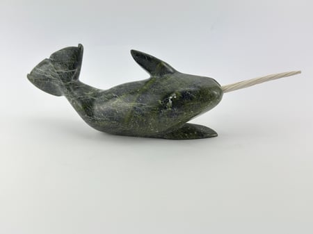 Narwhal