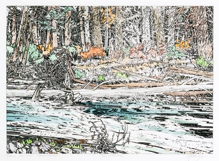 Fall on the Crowsnest
