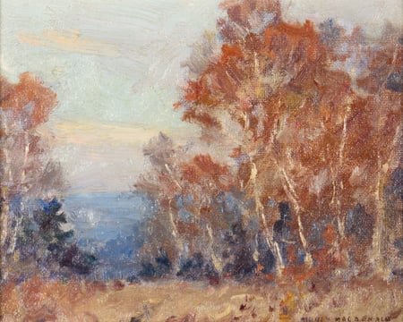 Late Evening Autumn