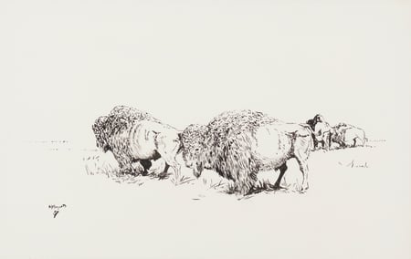 Buffalo