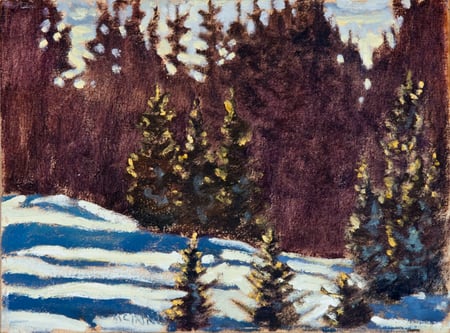 Winter Trees, Bragg Creek