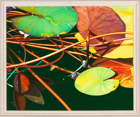 Untitled Waterlilies