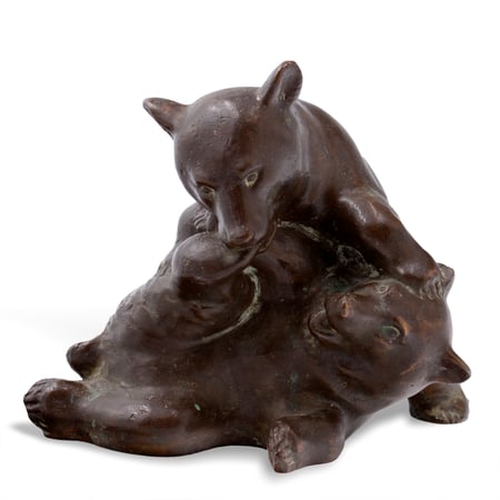 Bear Cubs