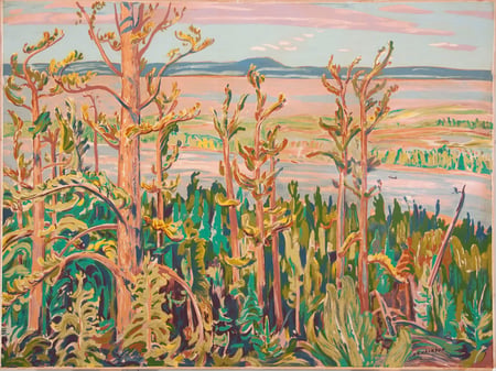 Jack Pine