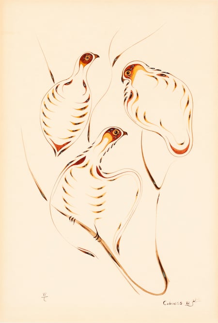 Falcon and Young