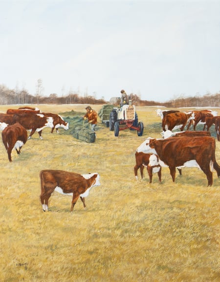 Cattle Grazing