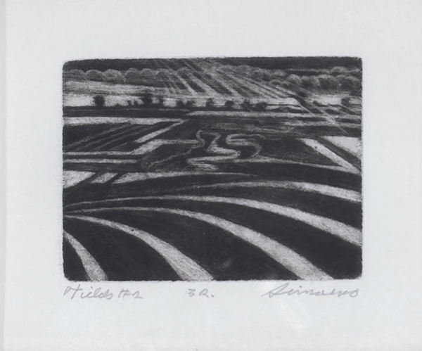 Fields