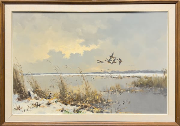 Ducks