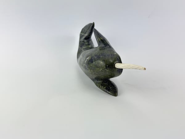 Narwhal