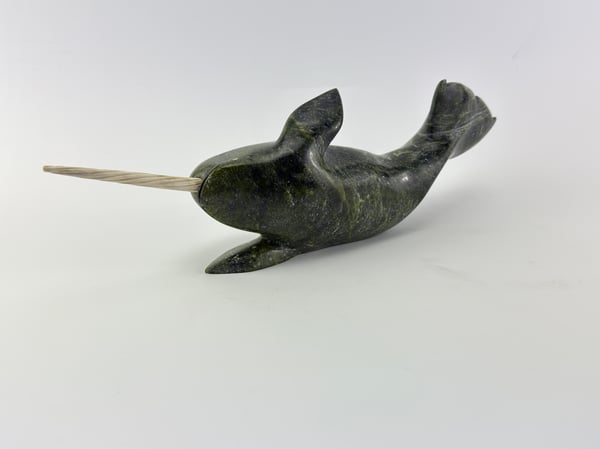 Narwhal