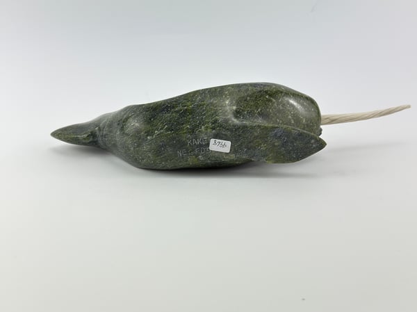 Narwhal