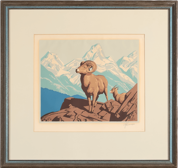 Bighorn