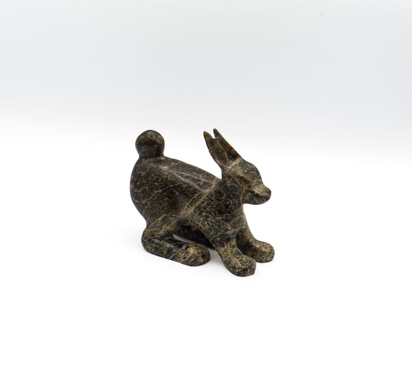 Hare