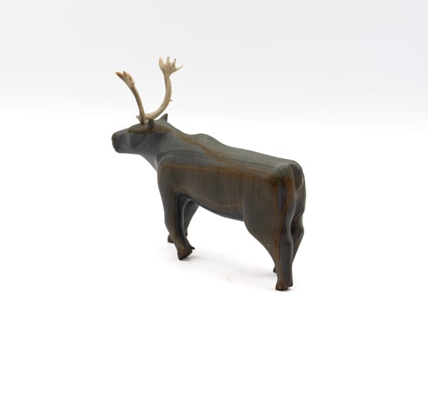 Caribou
