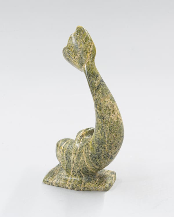 Beluga