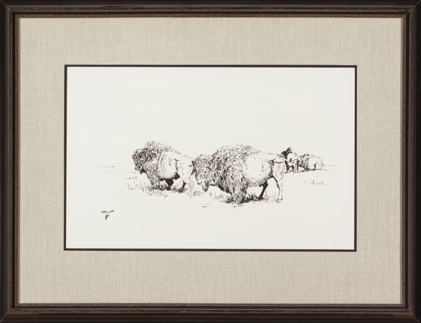 Buffalo