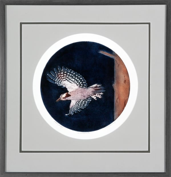 Woodpecker