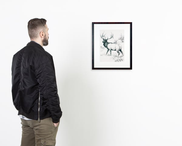 Elk